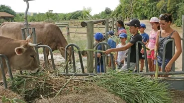 Vacances d'été - 30 juillet au 3 août 2018