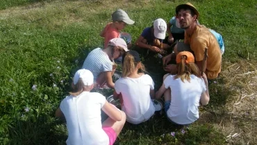 Vacances d'été - 31 juillet au 4 août 2017