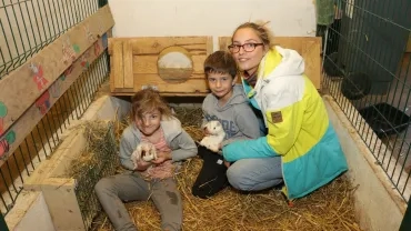 Mercredis d'avril 2017