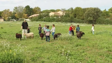 Mercredis d'octobre 2022