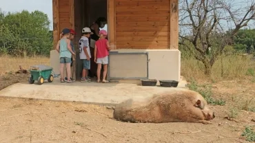 Vacances d'été - 27 au 31 juillet 2020