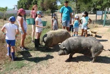 Vacances d'été - 15 au 19 juillet 2019