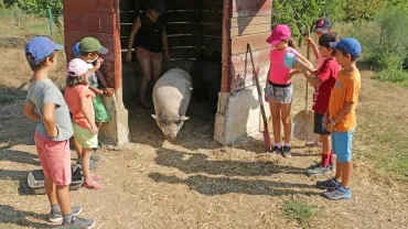 Vacances d'été - 20 au 24 août 2018
