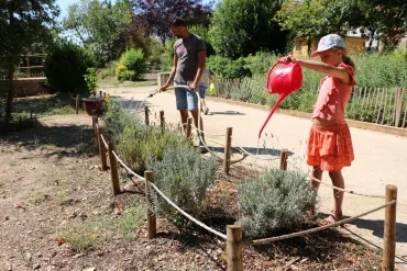 Vacances d'été - 15 au 19 juillet 2019
