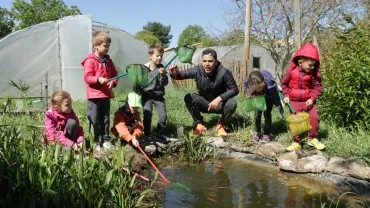 Mercredis d'avril 2017