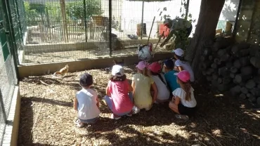 Vacances d'été - 28 au 29 juillet 2022