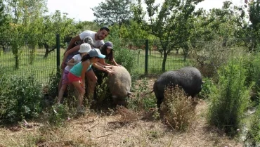 Vacances d'été - 18 au 22 juillet 2016