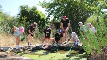 Vacances d'été - 24 au 28 juillet 2023