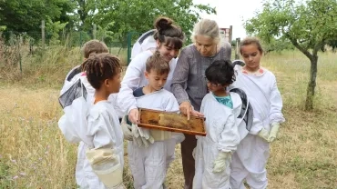 Mercredis de Juin 2022