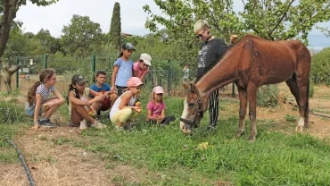Vacances d'été - 19 au 23 août 2019