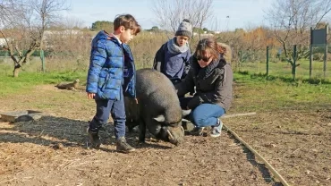 Mercredis de janvier 2019