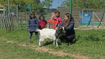 Mercredis d'avril 2017