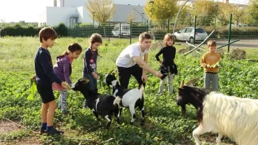 Vacances d'automne - 24 au 28 octobre 2022