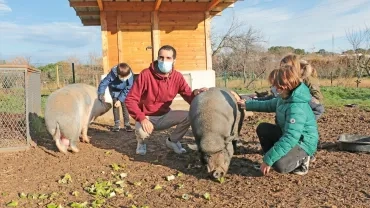 Vacances de Noël - 21 au 24 décembre 2020