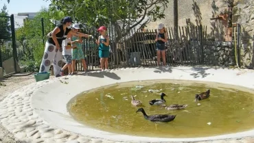 Vacances d'été - 6 au 10 juillet 2020