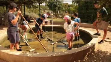 Vacances d'été - 29 juillet au 2 août 2024