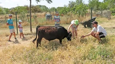 Mercredis de juin 2019