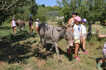 Vacances d'été - 23 au 27 juillet 2018