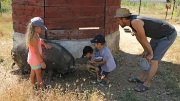 Vacances d'été - 16 au 20 juillet 2018