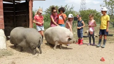 Vacances d'été - 16 au 18 août 2017