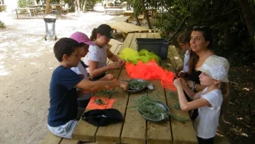 Vacances d'été - 31 juillet au 4 août 2017