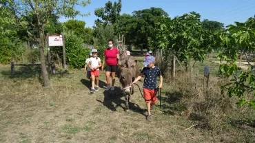 Vacances d'été - 23 au 27 août 2021