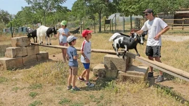 Mercredis de juin 2019