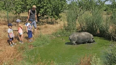 Vacances d'été - 16 au 20 juillet 2018