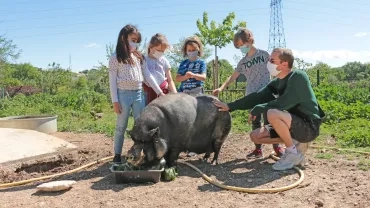 Mercredis de mai 2021
