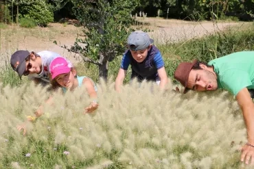 Vacances d'été - 9 au 13 juillet 2018