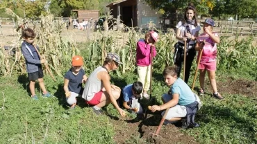 Mercredis de septembre 2017