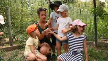 Vacances d'été - 11 au 13 juillet 2016