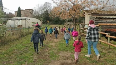 Mercredis de décembre 2020