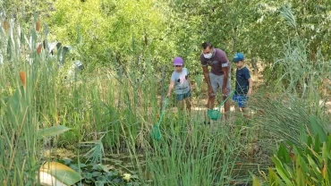 Vacances d'été - 27 au 31 juillet 2020