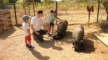 Vacances d'été - 29 juillet au 2 août 2024