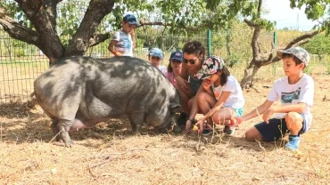 Vacances d'été - 19 au 23 août 2019