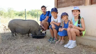 Vacances d'été - 22 au 26 juillet 2024