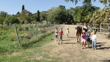 Mercredis de septembre 2017