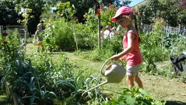 Vacances d'été - 1er au 5 août 2016