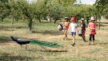 Vacances d'été - 18 au 22 juillet 2016