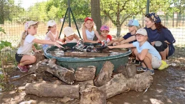 Vacances d'été - 22 au 26 juillet 2024