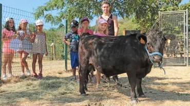 Vacances d'été - 12 au 14 août 2019