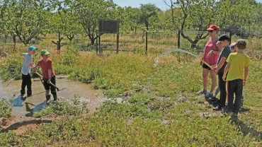 Mercredis de mai 2019