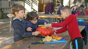 Vacances d'automne - 29 au 31 octobre 2018