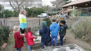 Mercredis de décembre 2017