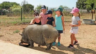 Vacances d'été - 27 au 31 juillet 2020