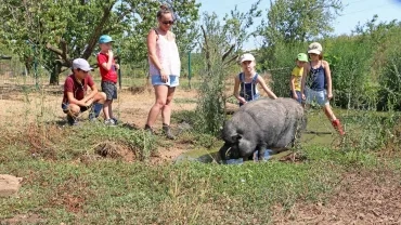 Vacances d'été - 29 juillet au 2 août 2019