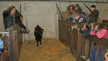 Mercredis de février 2019