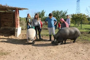 Vacances d'automne - 22 au 26 octobre 2018