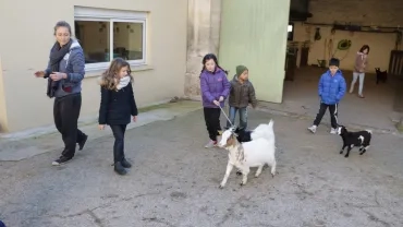 Mercredis de janvier 2017